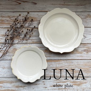 Mino ware Main Plate White Luna Made in Japan