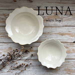 Mino ware Donburi Bowl White Luna Made in Japan