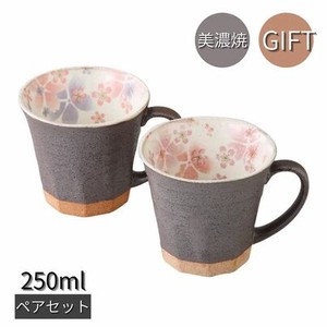Mino ware Mug Gift 250ml Made in Japan