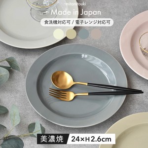 Main Plate M Made in Japan