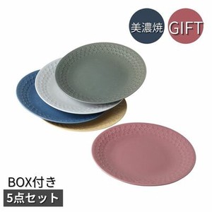 Mino ware Main Plate Gift Set of 5 25.5cm Made in Japan