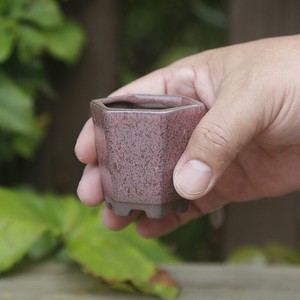 植木鉢 小さいサイズ 陶磁器 置物 YEA388