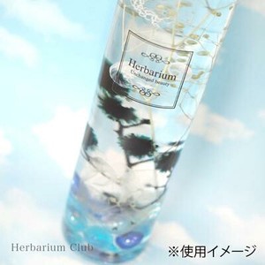 ハーバリウムクラブ　ハーバリウムボトルラベルシール　Herbarium　HR-BLS-105