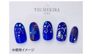 TSUMEKIRA(ツメキラ)　ネイルシール　星座　シルバー　SG-ZDC-103