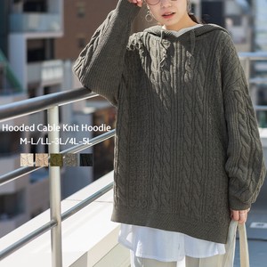 Sweater/Knitwear Long Sleeves Ladies' Limited