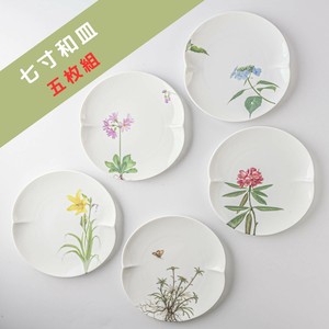 Mino ware Main Plate Gift M Miyama Made in Japan