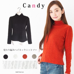 Sweater/Knitwear Pullover Knitted Plain Color High-Neck Tops Ladies Autumn/Winter