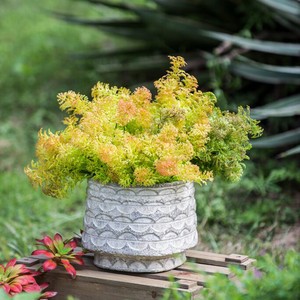 セラミックプランター 観葉植物 鉢 AN-460175