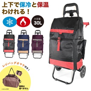Suitcase Foldable Reusable Bag