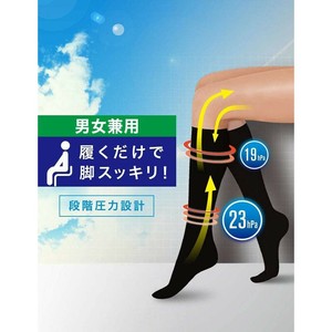 Dr.Scholl ドクターショール フライトソックス L 24.5〜27.0cm