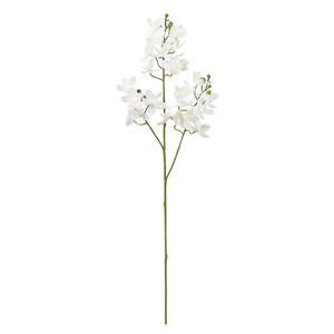 【セール品】【2024年SS新作】MAGIQ ラナオーキッド クリームホワイト　　造花