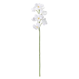 【セール品】【2024年SS新作】MAGIQ リオオーキッド ホワイトイエロー　　造花