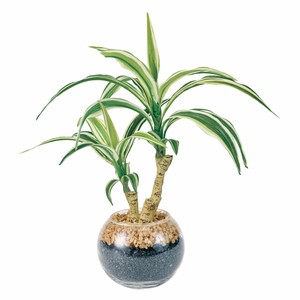 Artificial Plant Arrangement Sale Items