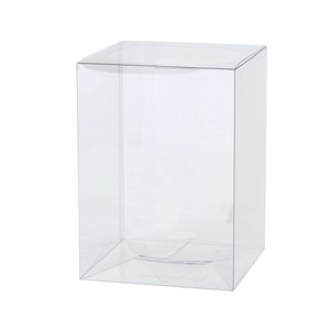 Packaging Box Sale Items Clear 10-pcs