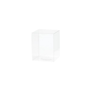 Packaging Box Sale Items Clear 10-pcs