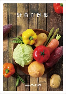手工/工艺书籍 蔬菜