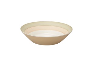 Donburi Bowl L NEW Made in Japan