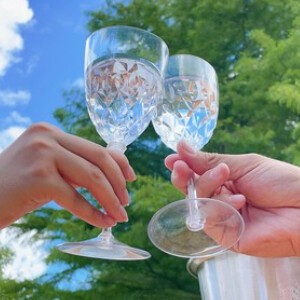 【ワイングラス】プラスチック/レジャー/BBQ/アウトドア/4個セット/パーティー/キャンプ