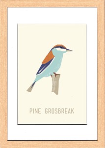 アートパネル North Birds Pine Grosbreak