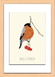 アートパネル North Birds Bullfinch
