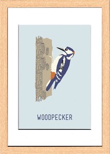 アートパネル North Birds Woodpecker