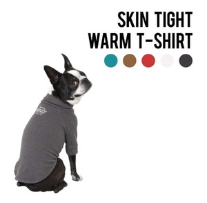Skin Tight Warm T-shirt　2021年バージョン