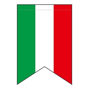 N変形タペストリー 69411 イタリア国旗柄