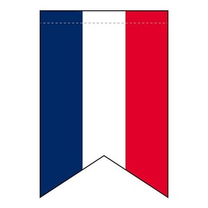 N変形タペストリー 69409 フランス国旗柄