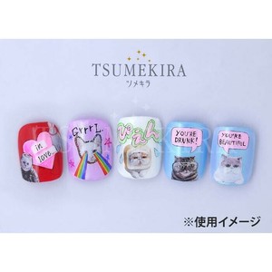 TSUMEKIRA(ツメキラ) ネイルシール DOG×DAISY プロデュース2 PLAYFUL CATS NN-DXD-103