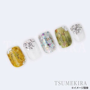 TSUMEKIRA(ツメキラ) ネイルシール DAISYプロデュース11 female ブラック NN-DAI-118