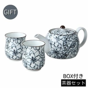 Teapot Gift Set Garden Arita ware Made in Japan