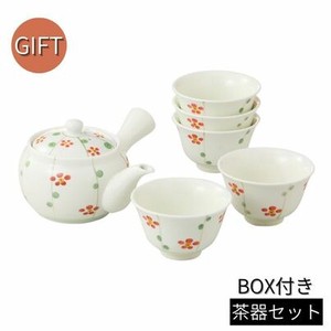 Japanese Teapot Gift Set