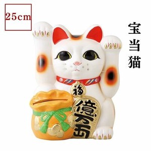 ギフト 宝当猫 日本製 常滑焼