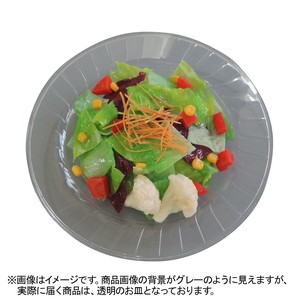 日本職人が作る　食品サンプル　サラダ　IP-543