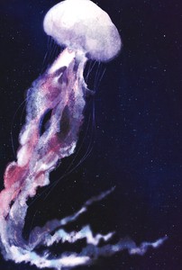 Postcard Jellyfish Stardust
