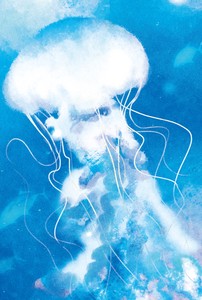 Postcard Jellyfish