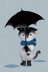 Postcard Winter Rain Cat