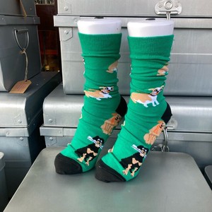 Crew Socks Socks Chihuahua