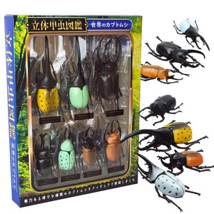 立体甲虫図鑑 世界のカブトムシ