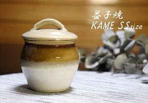 Mashiko ware Teapot Turtle White Candy