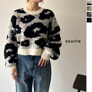 Sweater/Knitwear Pullover Jacquard Stretch 2023 New