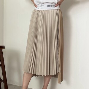 Skirt Pleats Skirt