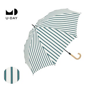 Umbrella Stripe 2024 NEW