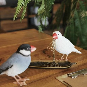 BIRDIE BILL(バーディビル)　WHITE　JAVA　SPARROW　1686