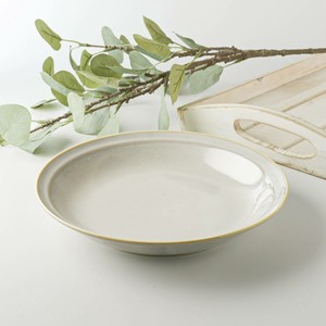 Mino ware Main Plate Western Tableware 22cm Made in Japan