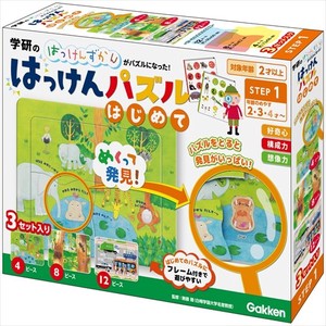 Educational Toy Puzzle