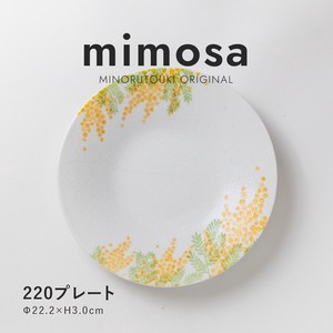 Mino ware Main Plate Mimosa Made in Japan