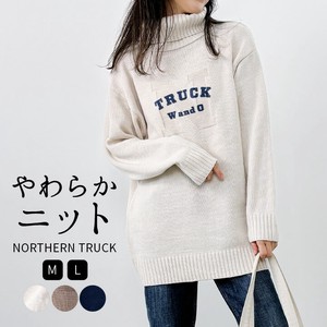Sweater/Knitwear Pullover Knitted Long Sleeves Printed Turtle Neck