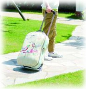 Suitcase Carry Bag