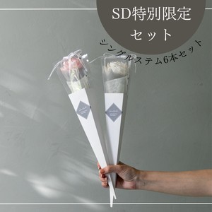【SD限定商品】 ソラフラワー シングルステム 6本スペシャルセット フラワーアレンジ　ギフト